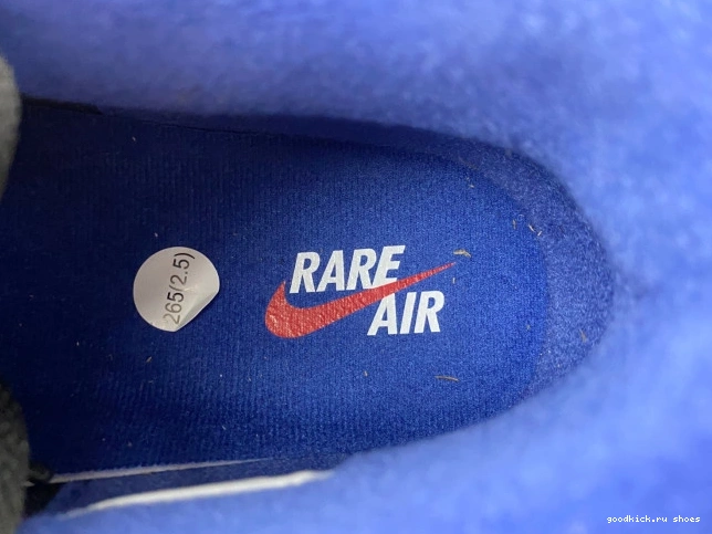 Rep Air Rare Jordan Air FV5029-003 4 0723